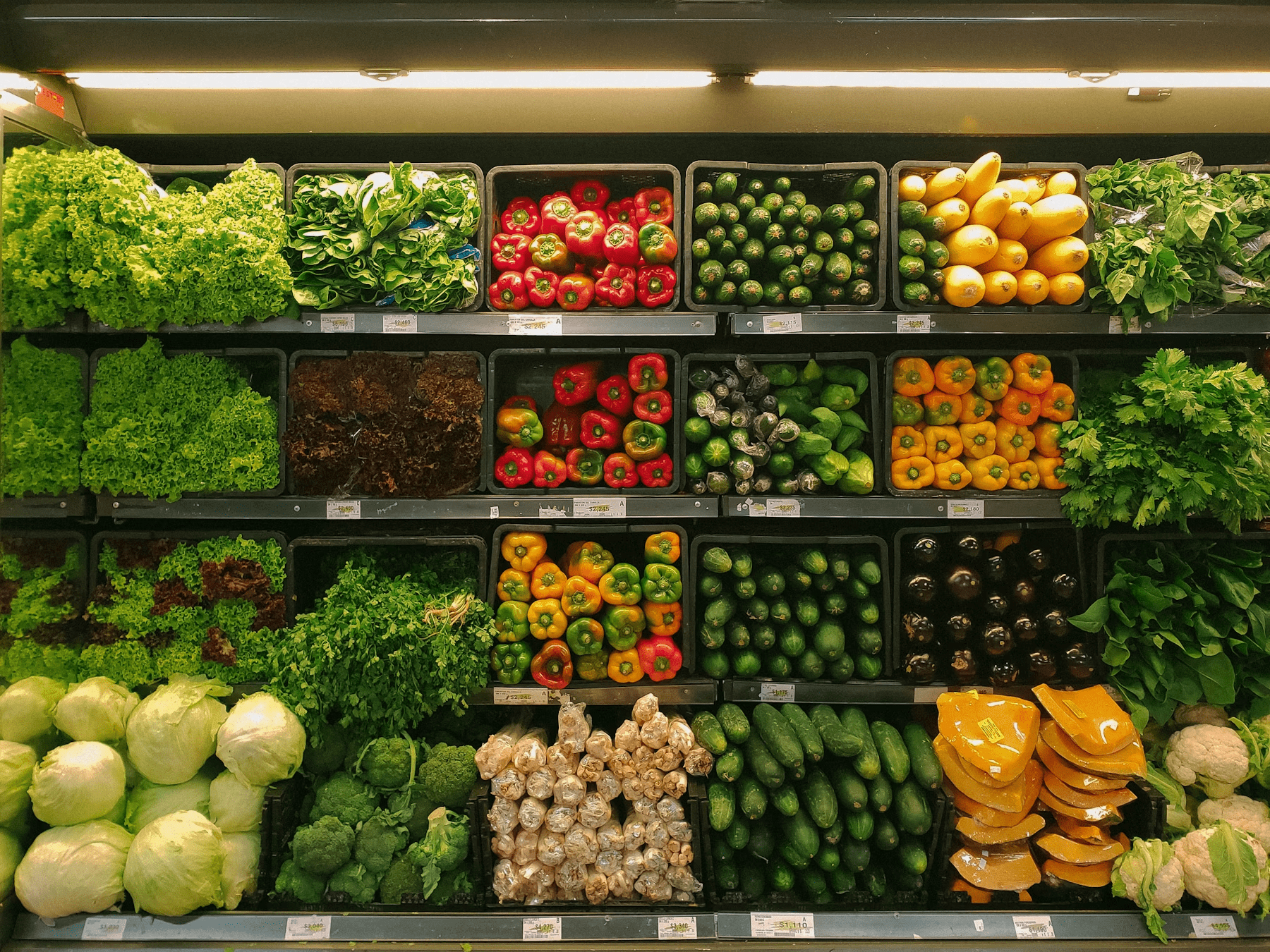 Farm Fresh Vegetables & Food 100% Organic