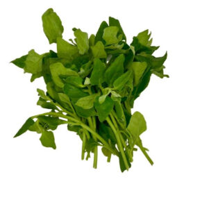 Fresh Mint